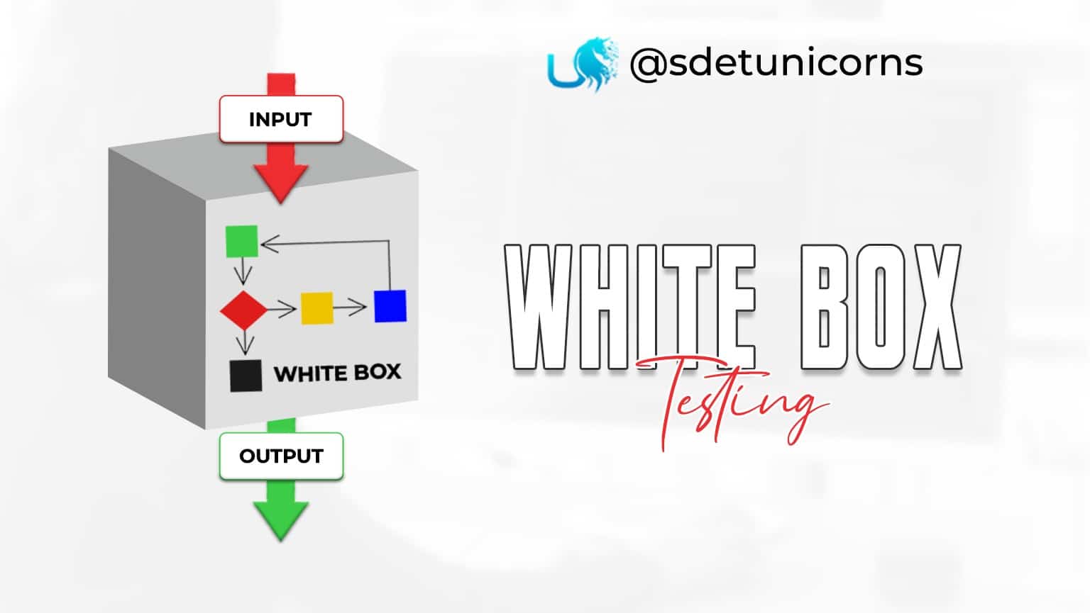 white box testing