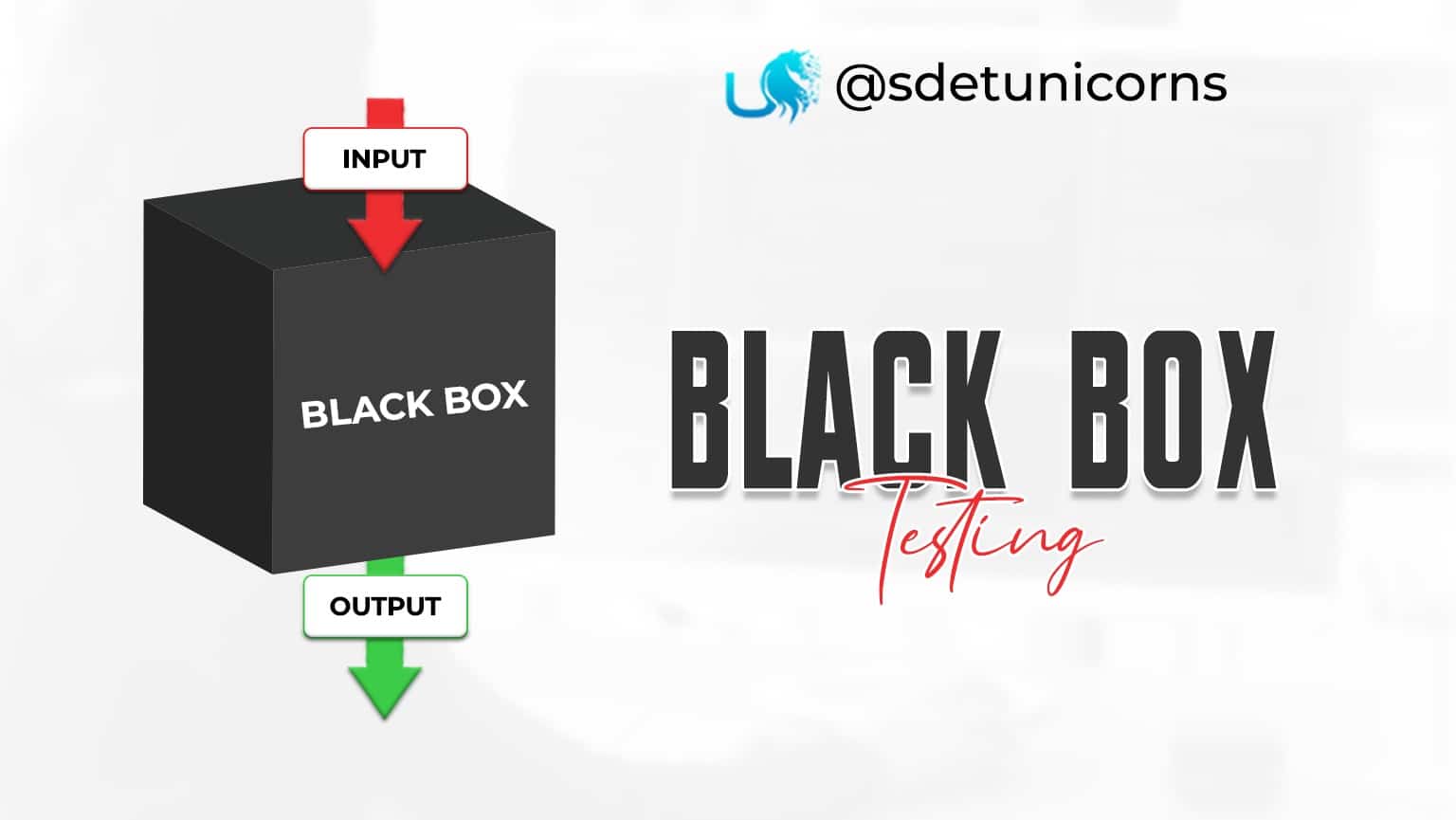 black box testing